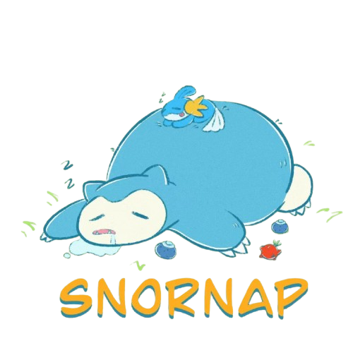 SnorNap Inc